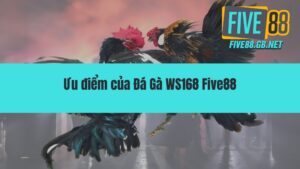 Đá Gà WS168 – Đấu Trường Rực Lửa Cho Đam Mê Bất Tận